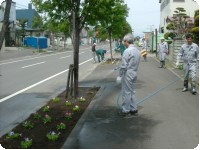 09.5.12  花壇に花の苗植え3.jpg